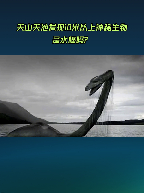 天山天池现神秘生物,是水怪还是鱼类?-度小视