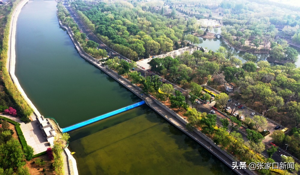 张家口宣化:万柳公园景色美