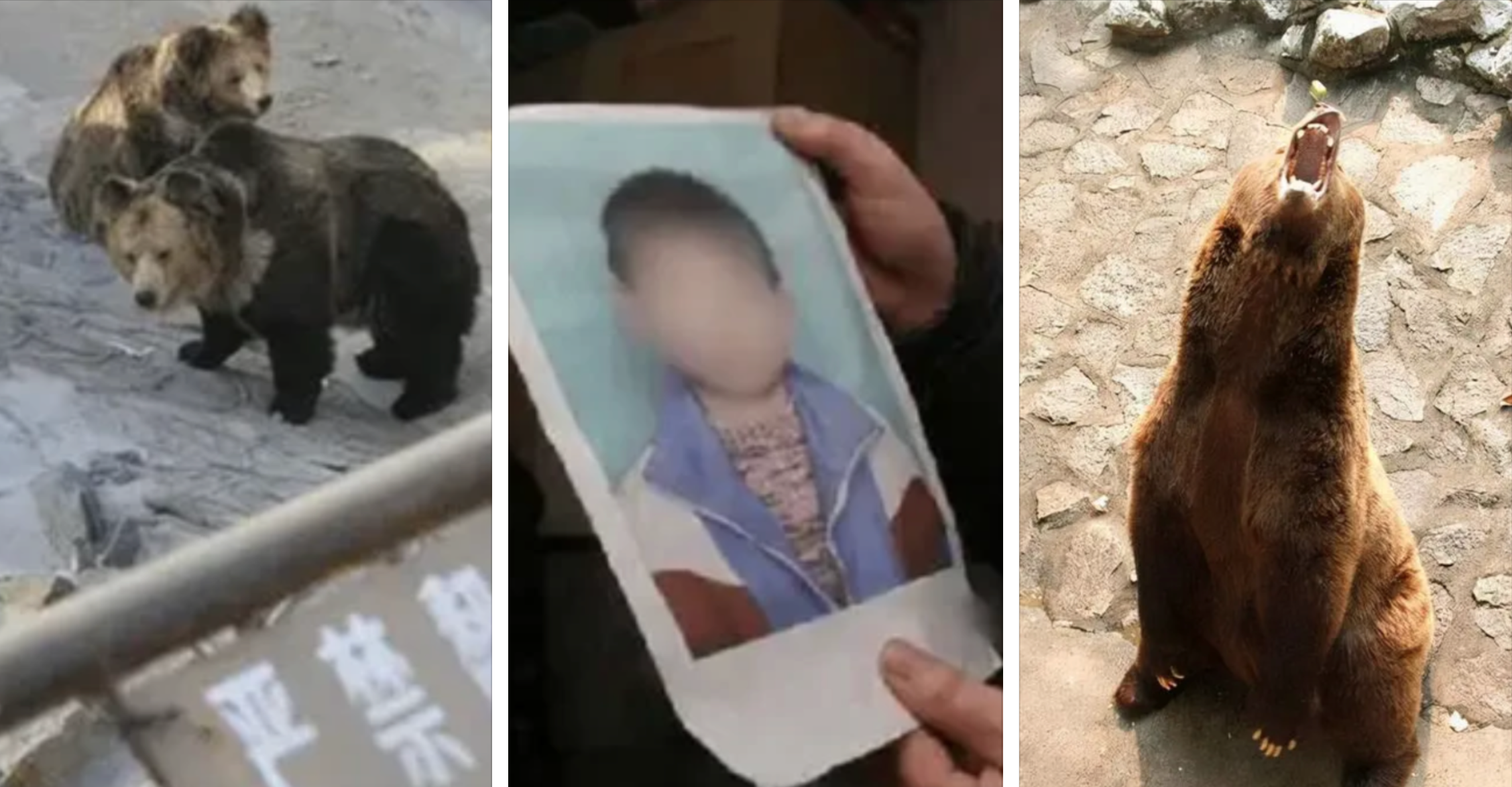 山西长治狗熊吃人案-令狐惠文