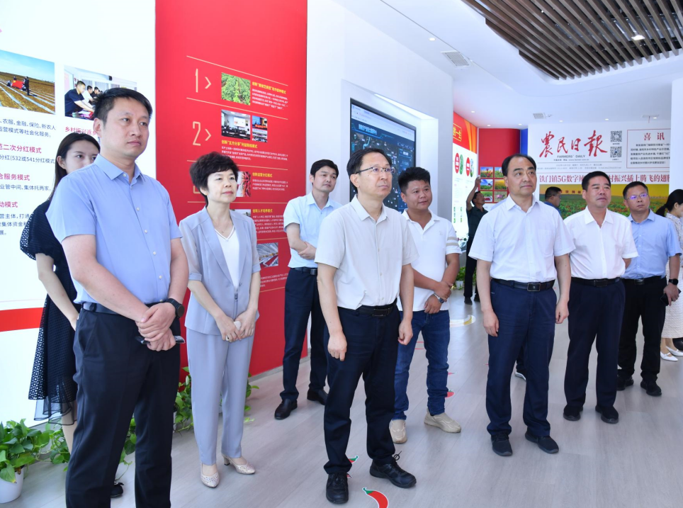 省乡村振兴局局长刘保仓来新安调研