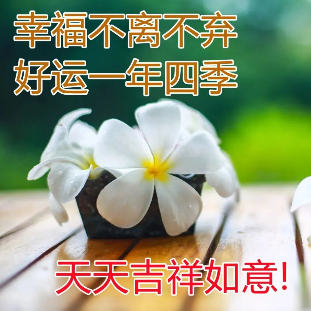 超級漂亮早上好表情圖片帶鮮花,2023最新版早上好動態表情圖片