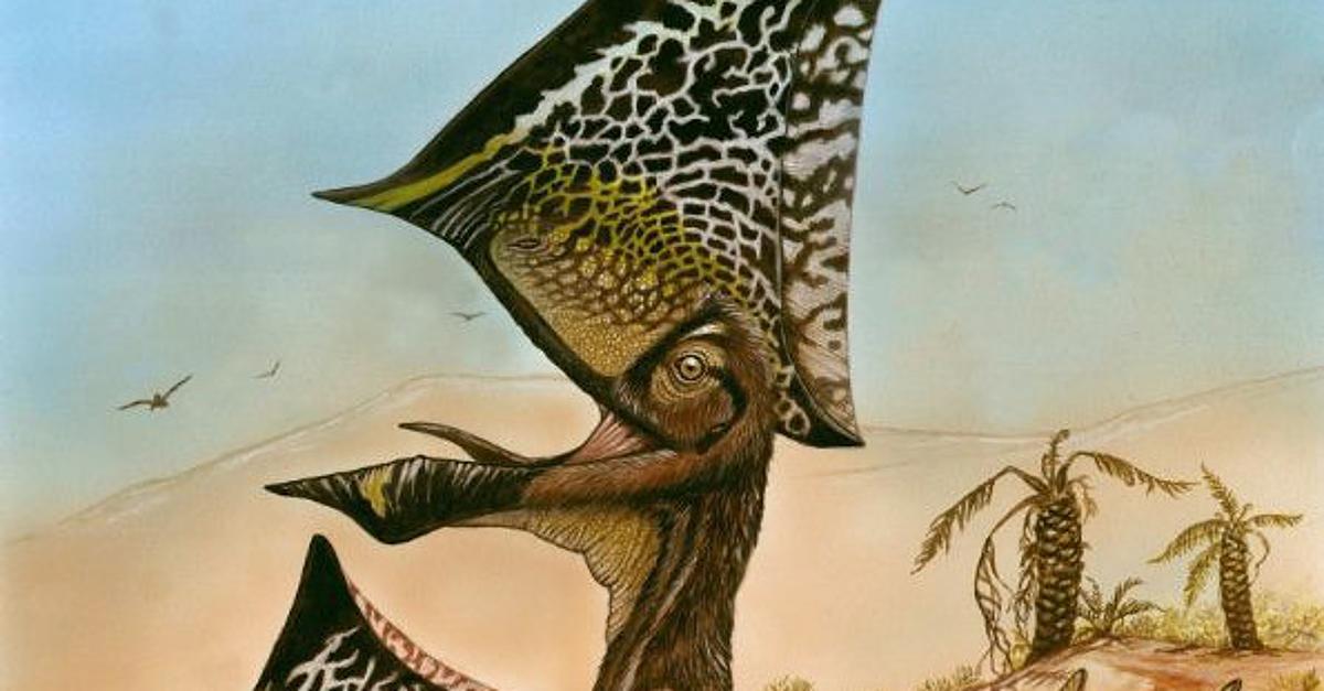 巴西南部出土三叠纪恐龙"卡布雷拉噬颌龙"化石 距今已有2.3亿年