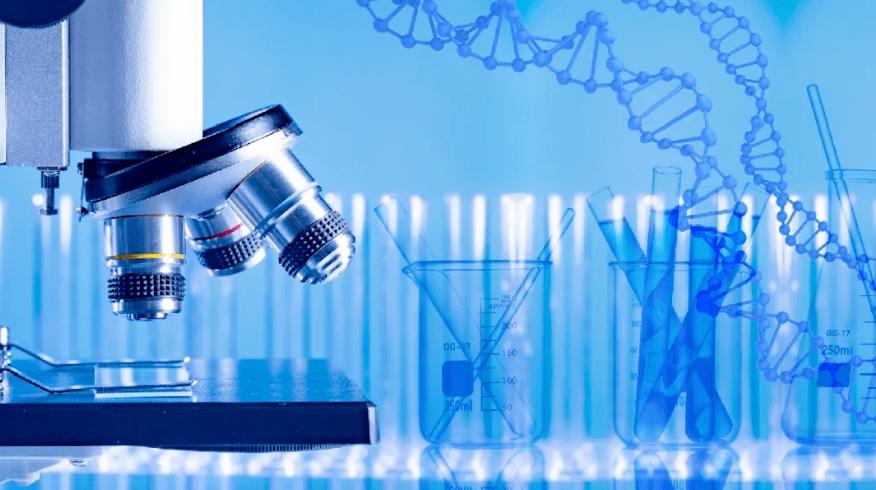 生物技术发展如何?加强生物技术的应用