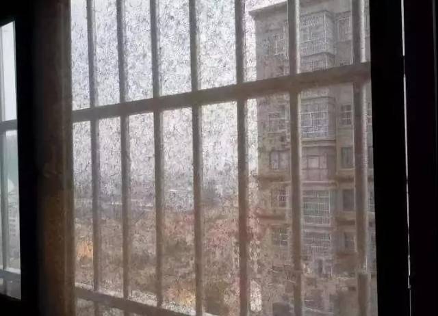 纱窗脏了不用拆卸,教你这样做,几分钟就清洁干净,不留一点污垢