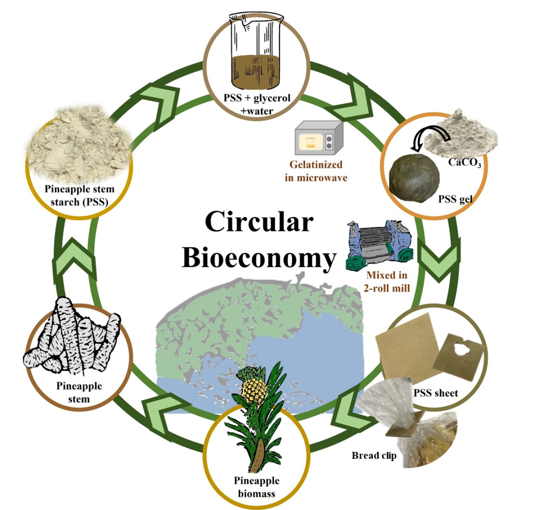 螺旋藻/菠萝加工副产物解决生物塑料「回收难」问题