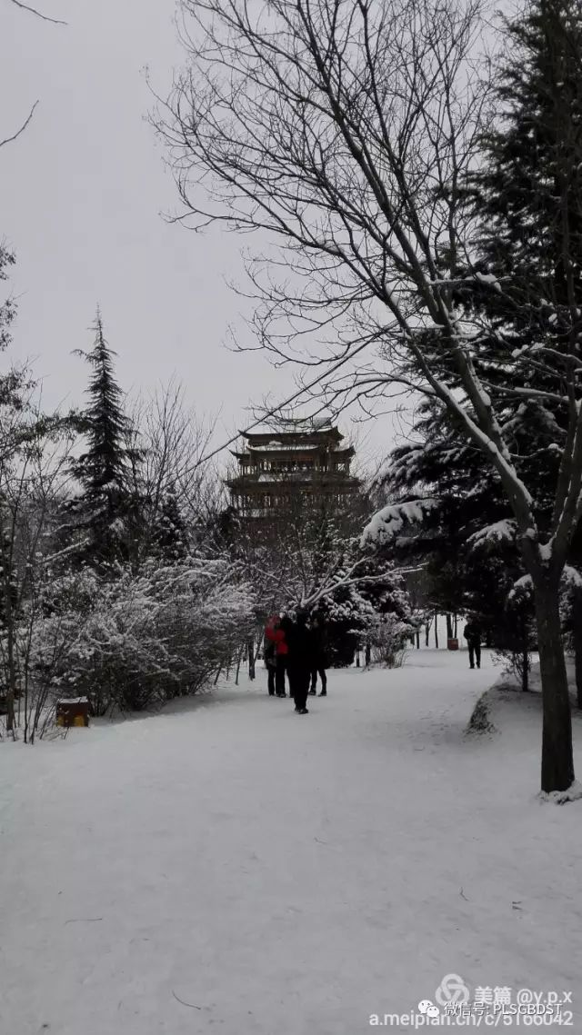 平凉人,这是你们熟悉的那个南山公园吗?