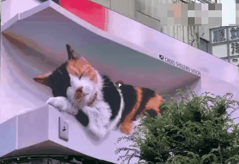 这两个庞然大物的突然出现可是让不少在场的观众都大吃一惊,就连不少