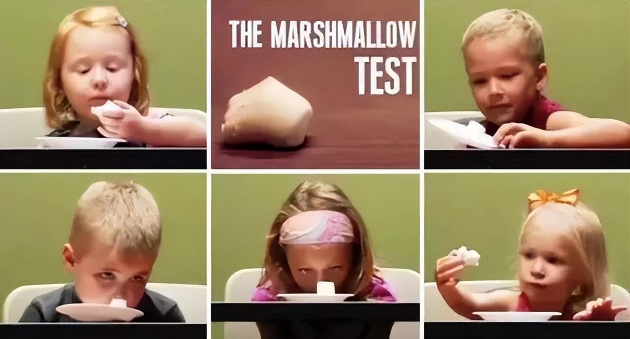 世界第100富有的人称:如果了解棉花糖实验,你也会和我一样富有