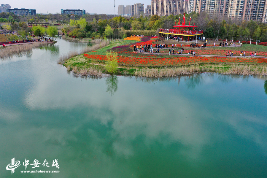 合肥四季花海在哪图片