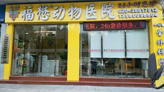 宠物行业发展迅猛,福懋动物医院顺势前行