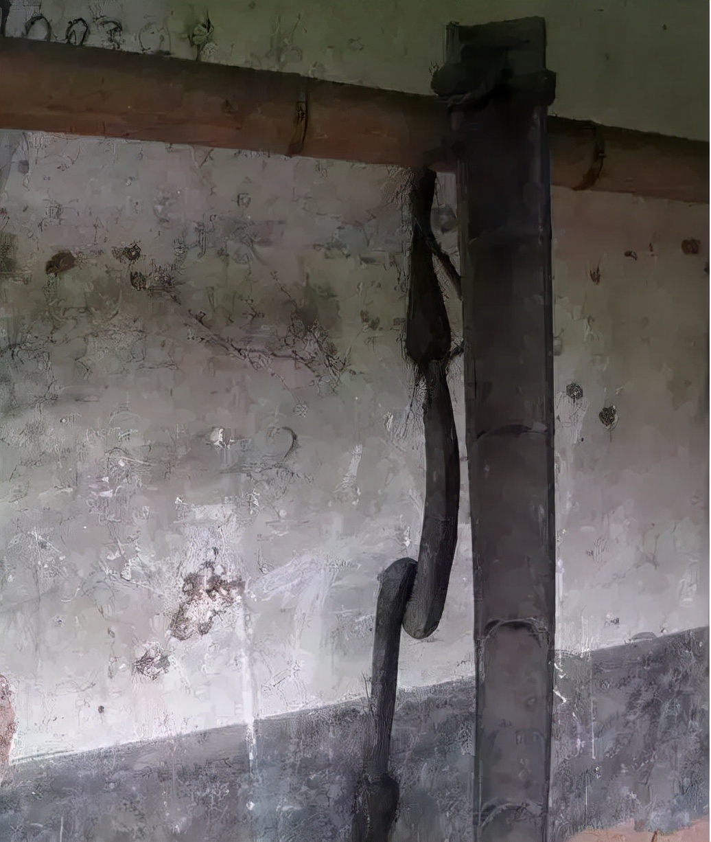 农村的扁担有两种,一种是用桑木制作的,一种就是用竹子制作的.