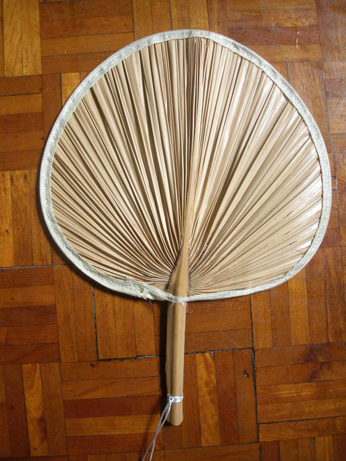 母亲手中的大葵 扇(散文)