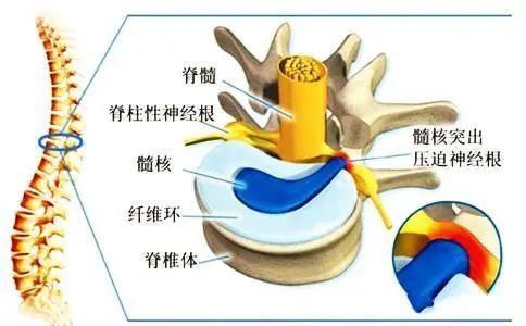 浦东新区中医临床特色优势品牌培育