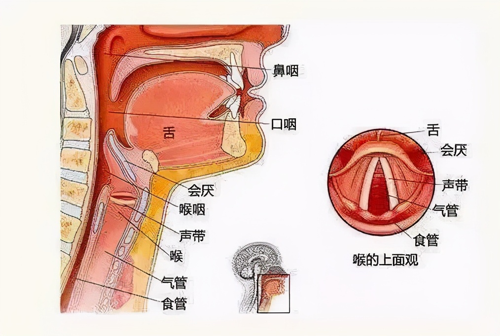 咽喉病