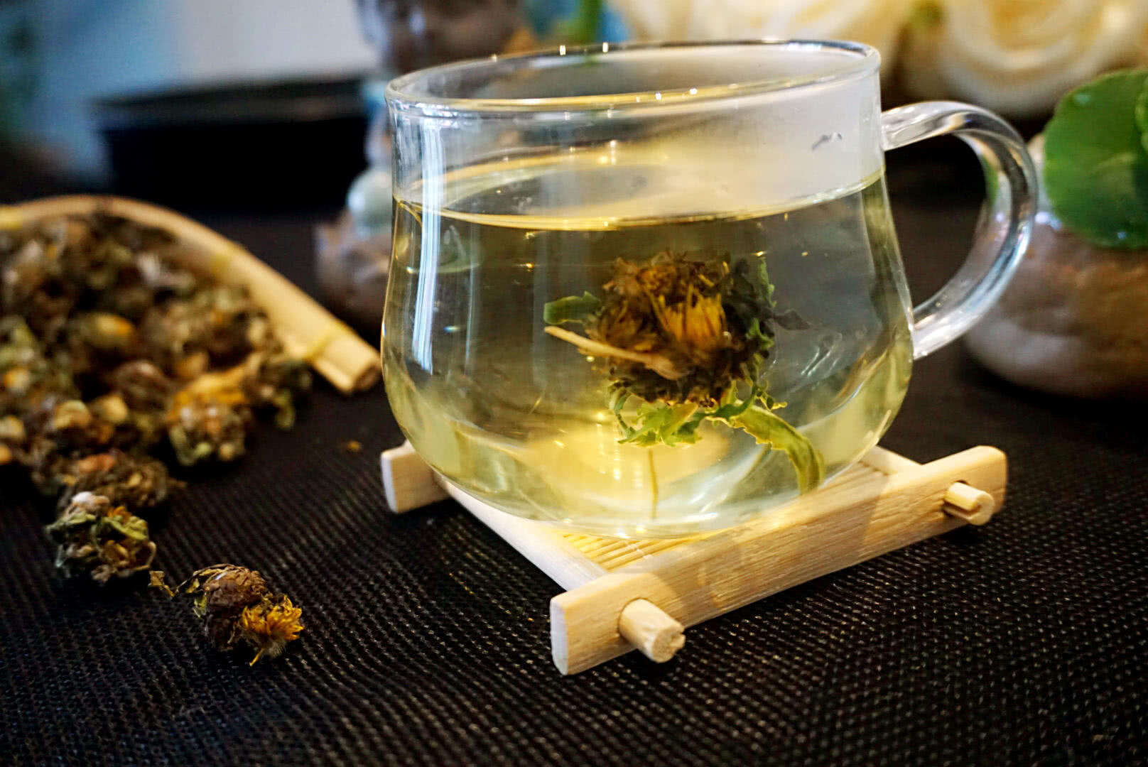 它是蒲公英的"好搭档",一起泡水喝,有助于健脾养胃,降肝火