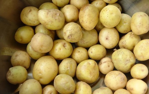 冬天,少吃红薯南瓜.多吃它健康是宝,两块钱一斤,高钾高营养!