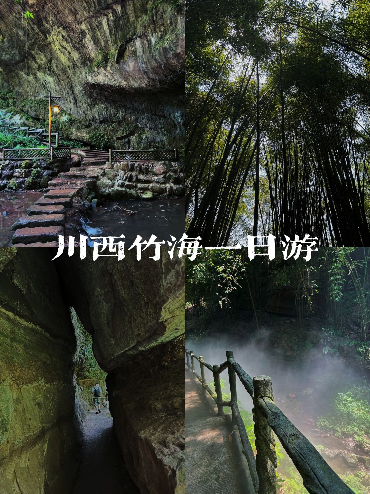 邛崃川西竹海景区门票图片