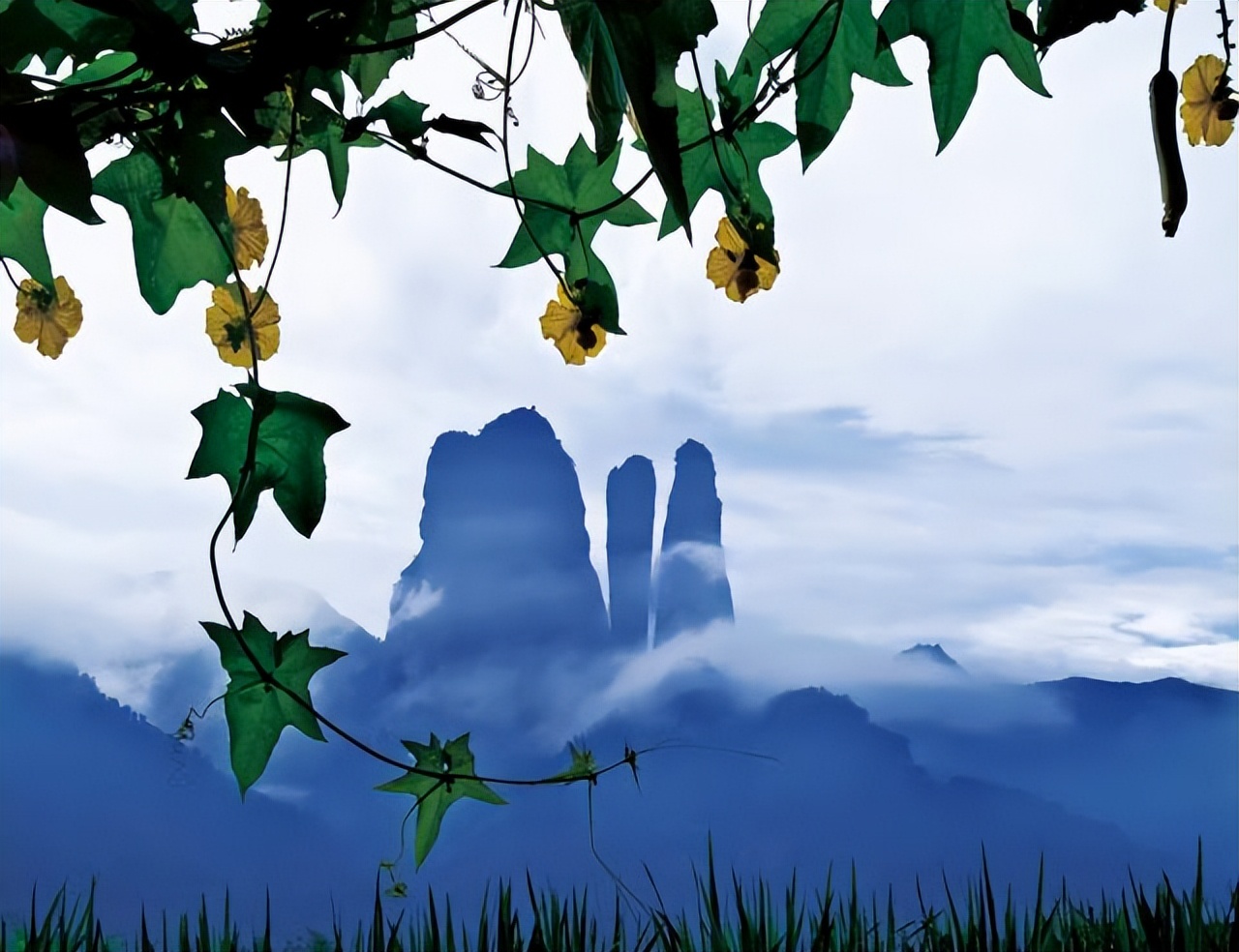 墨言教育摄影技能分享|前景构图法!让你的出片率高10倍!