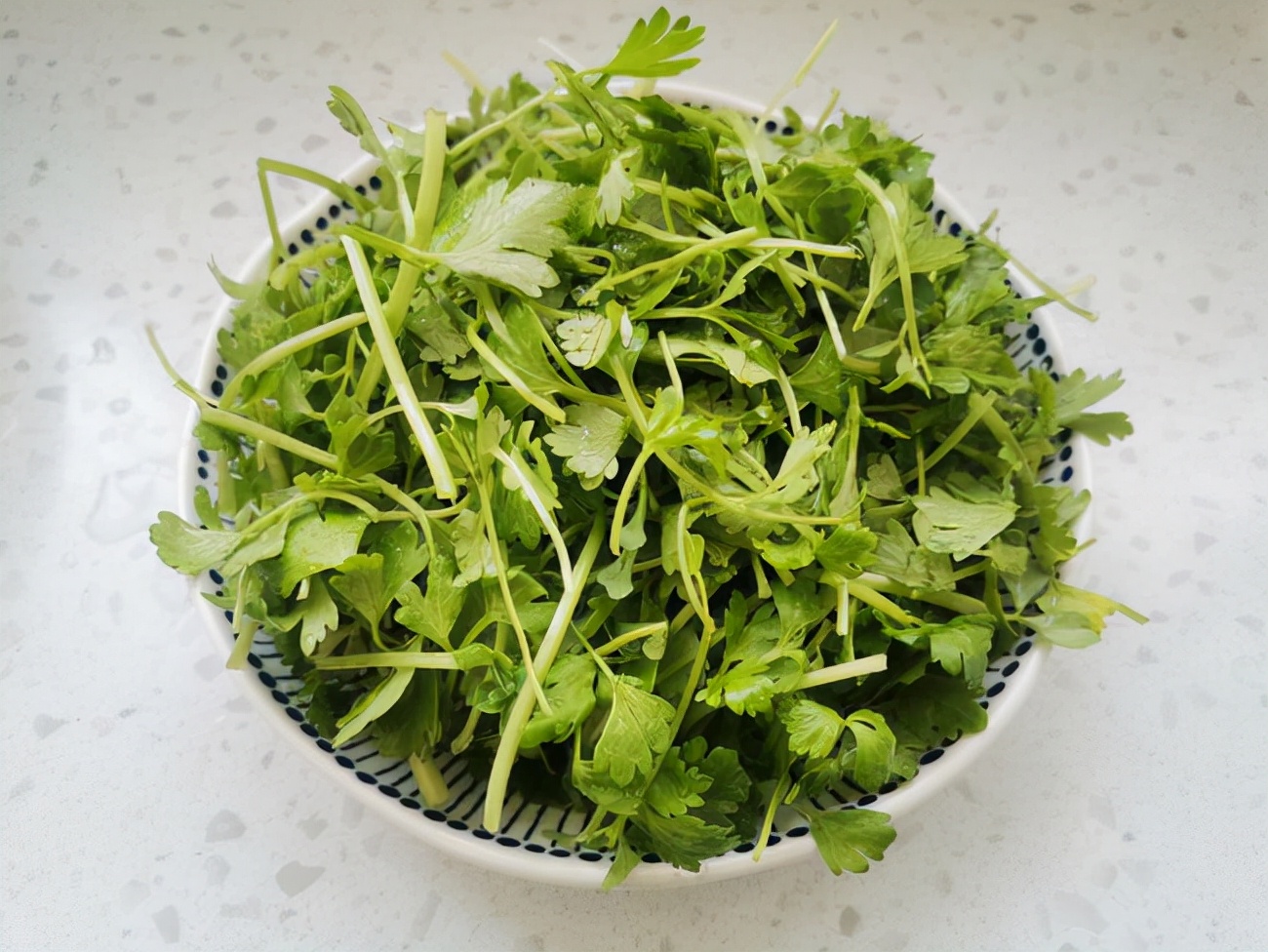 年夜饭不妨做一道凉拌芹菜苗,不仅开胃解腻,做法还简单