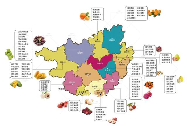 中国新晋水果王国广西最新水果地图
