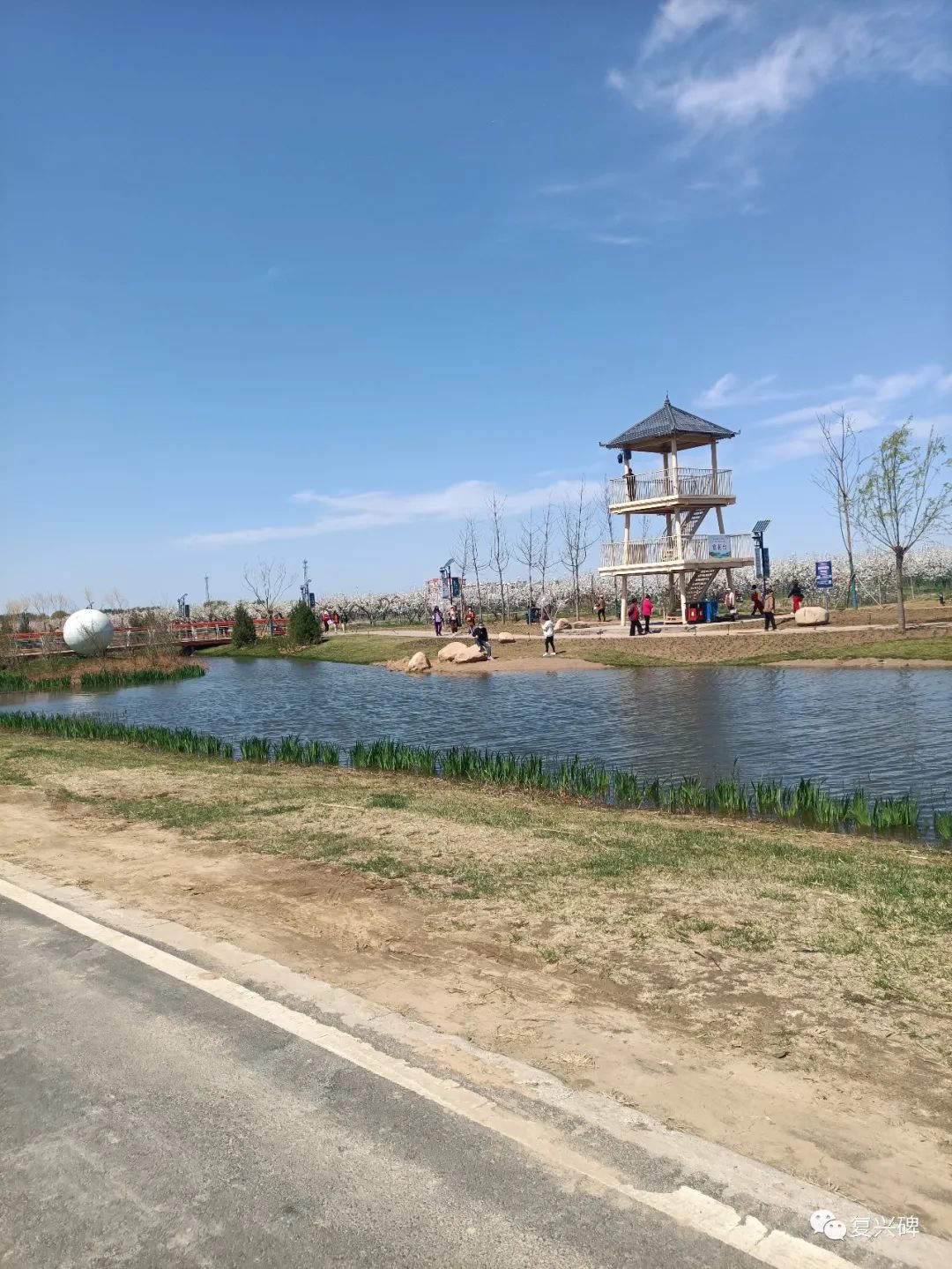 古淀梨湾这两天出现的那些孙悟空,事前不说要钱,见到小孩子们就合影