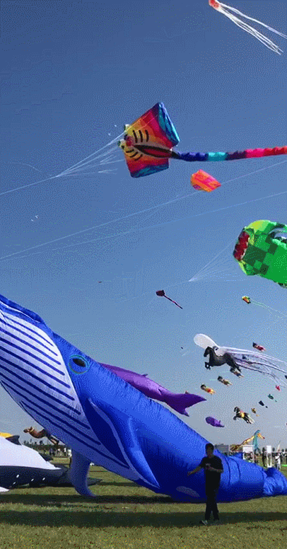 406_776竖版 竖屏gif 动态图 动图