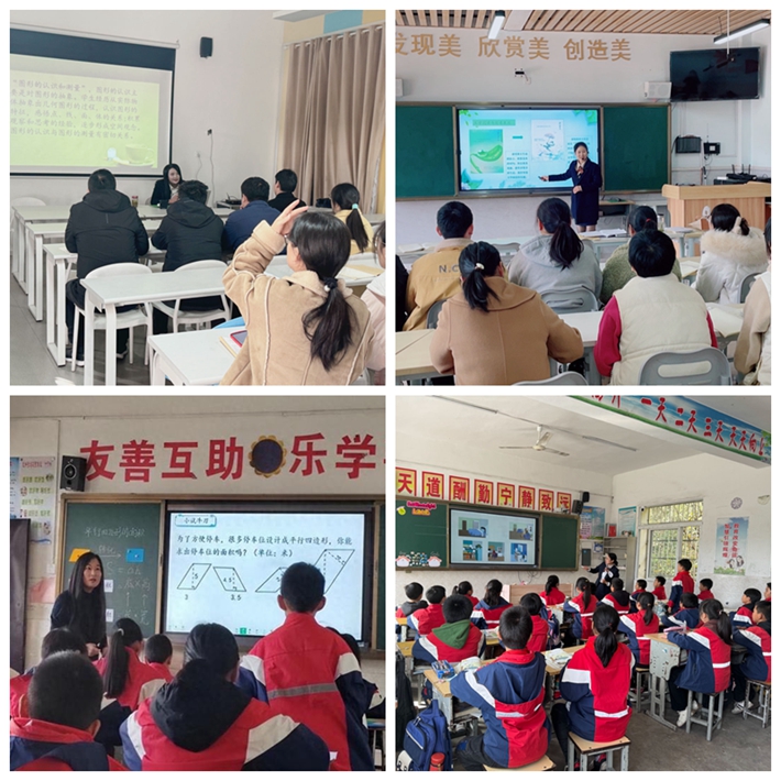 桐城市实验小学党总支赴金寨县皮定均红军小学开展送教活动