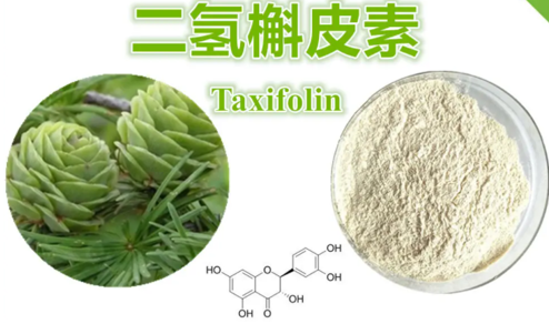 新食品原料|深度认识二氢槲皮素(花旗松素)与槲皮素