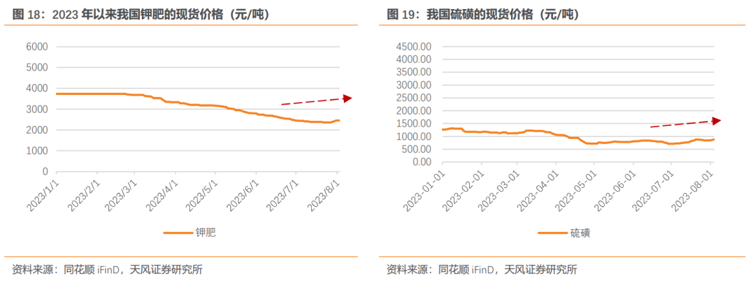 磷複肥龍頭,新洋豐:原材料價格企穩回升,能否迎來業績拐點?