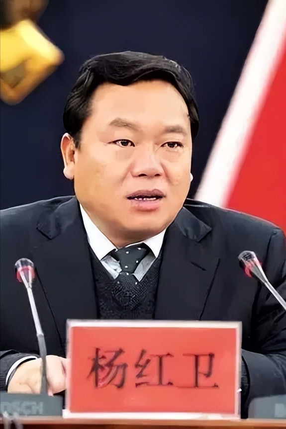 "吸毒州长"杨红卫:和情人在办公室发生关系,开会时公开吸毒