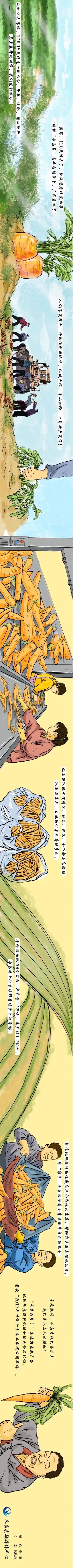 长图丨一棵"永昌籍"高品质胡萝卜的养成之路