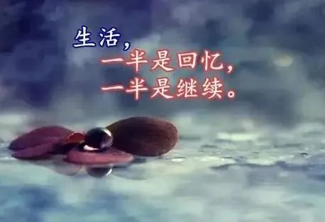 侯占林:岁末感怀绝句四章