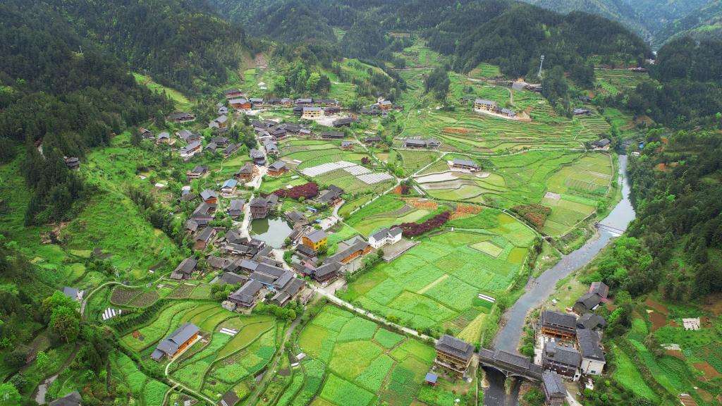 回顧湖南大熊山疑似出現紅毛野人調查發現此地確實適合野人生存