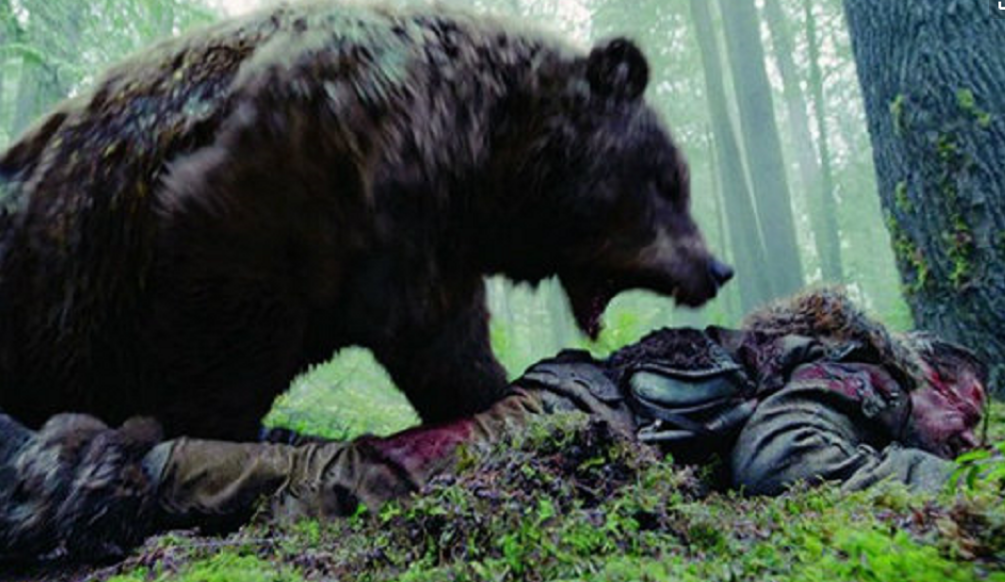 熊吃人残忍图片图片