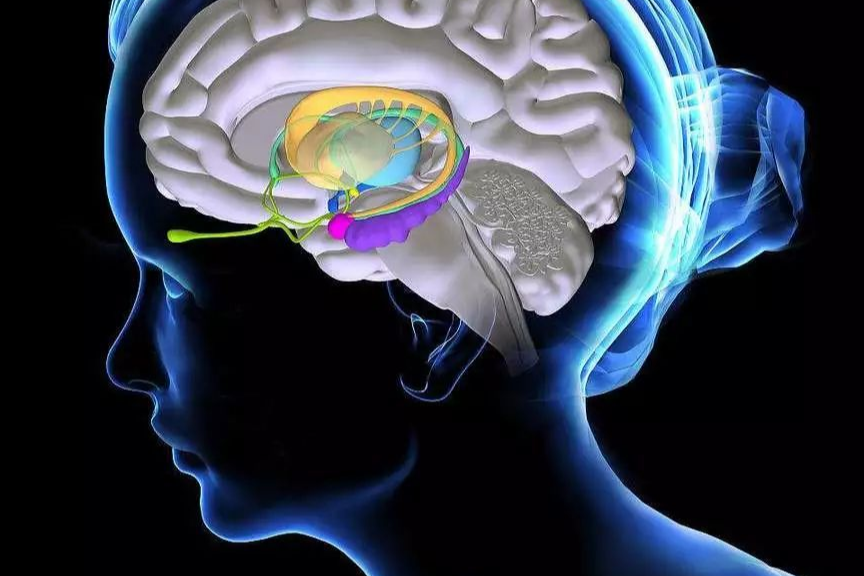 间脑综合征(ds),以进行性消瘦为特征,由下丘脑的胶质瘤引起