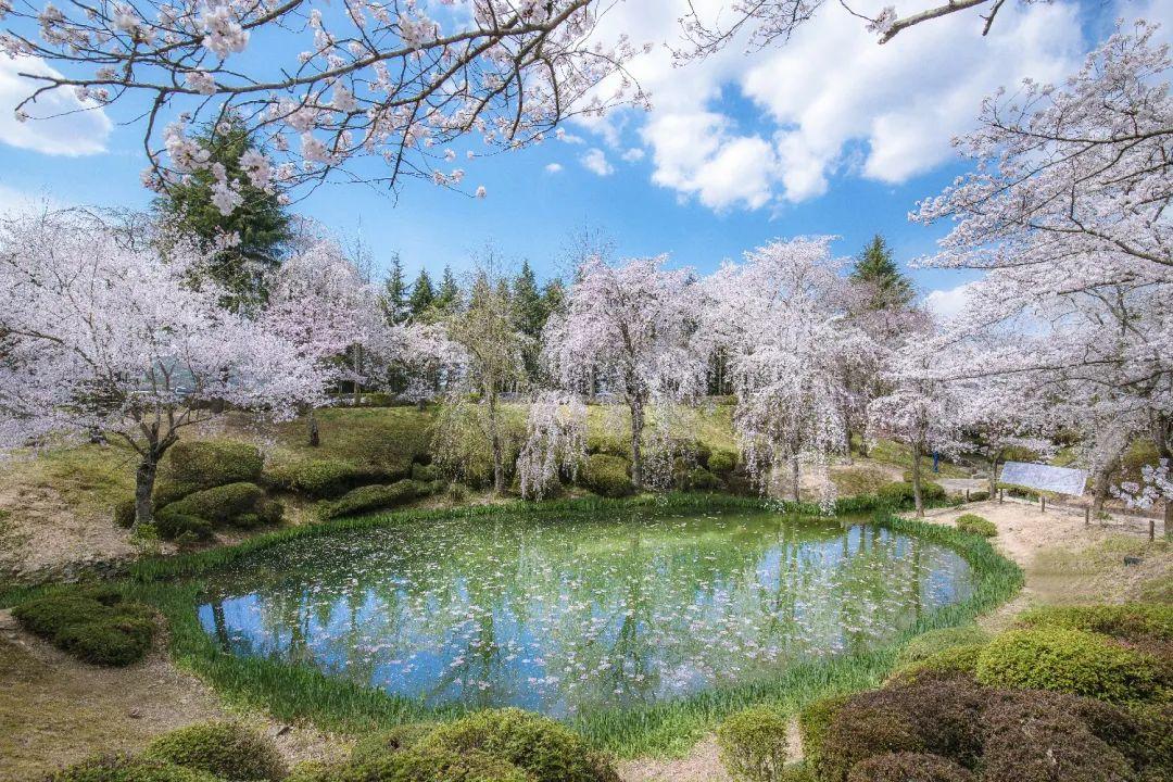 韩国庆尚北道,首尔市道峰区,首尔市瑞草区——2022服贸会"一带一路"