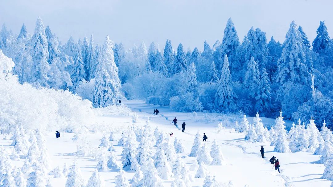 穿林海,跨雪原,走进梦幻雪山,挑战镜泊湖蓝冰徒步