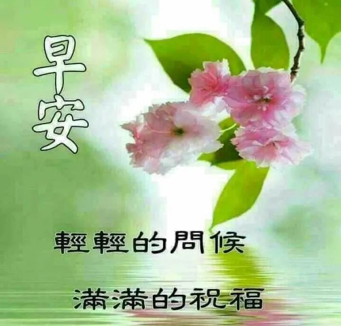 9月10日教师节早安暖心祝福语句,周四早上好最美问候语图片