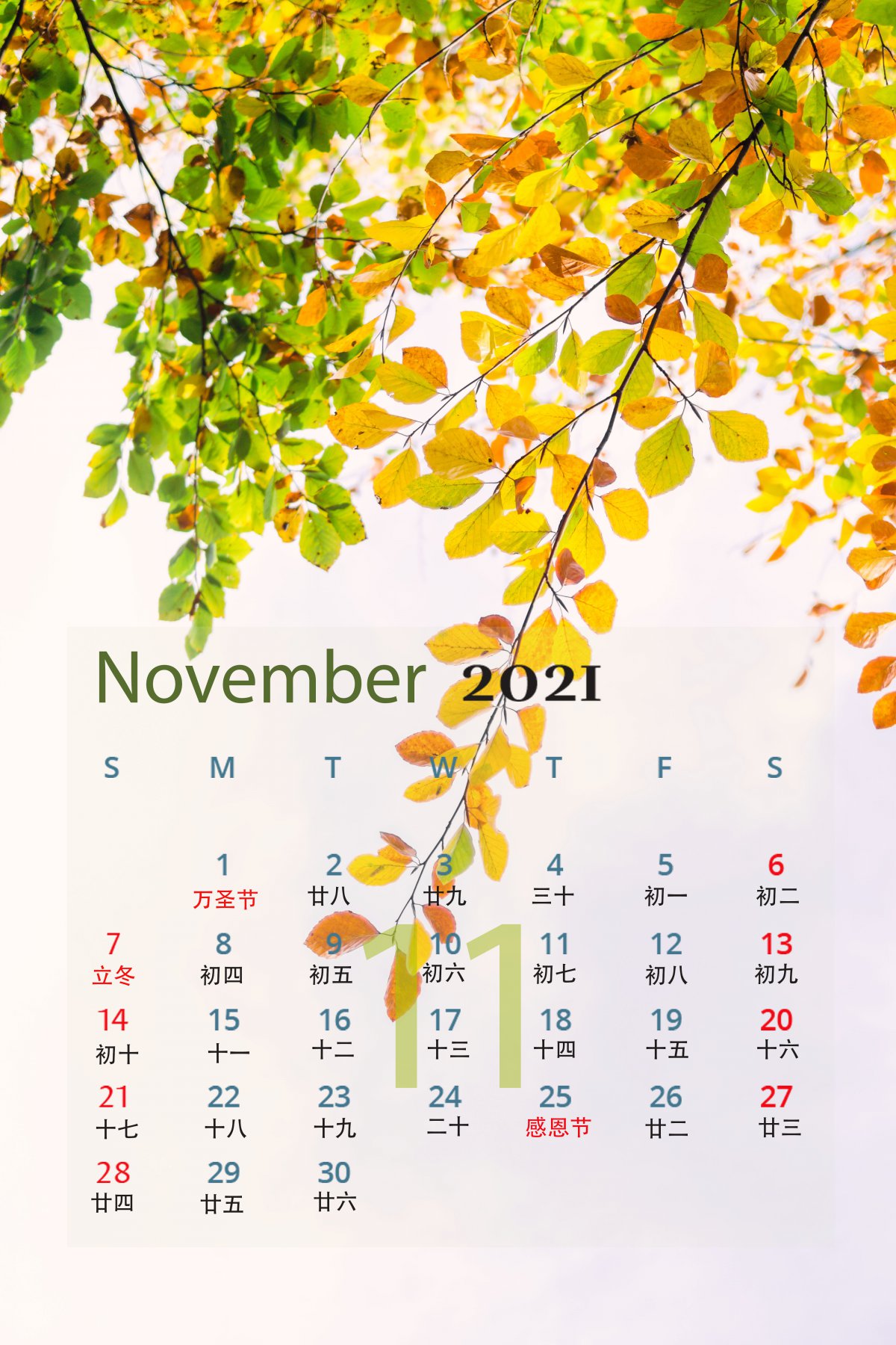 人生苦短,我们相约在11月!