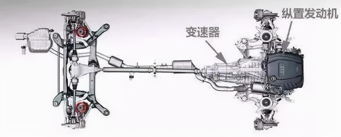 牛前驱后驱分割图图片