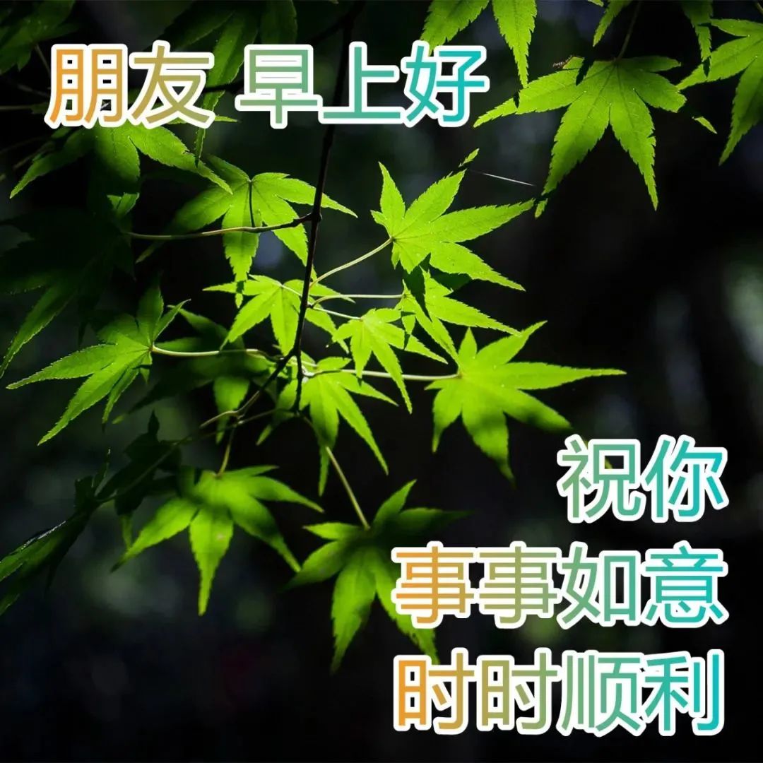 早晨暖心阳光祝福语图片带字 好看的温馨的早上好图片