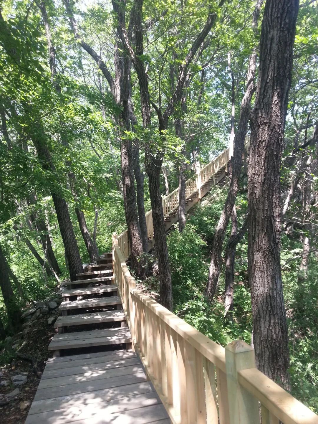 罗通山风景区电话图片