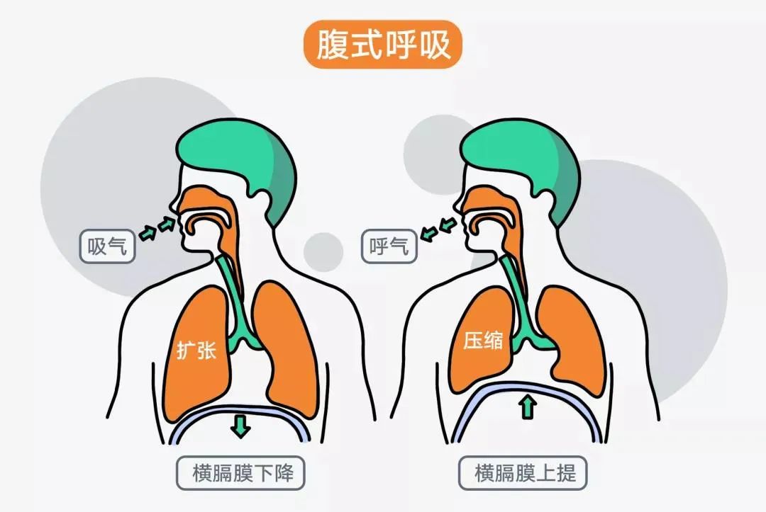 腹式呼吸的正确方法图片