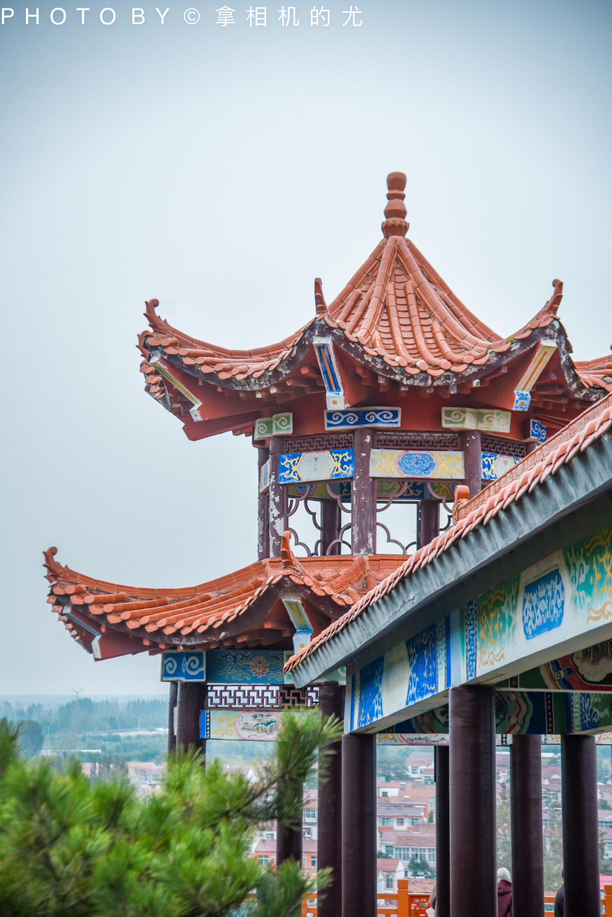 到淮北赏风景,请收藏这一篇