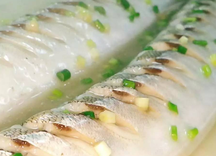 针良鱼怎么做好吃?针良鱼要如何选购?