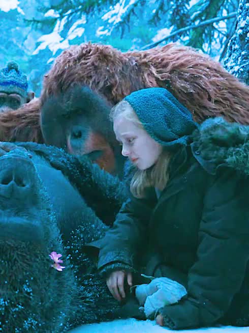 《猩球崛起4:王国诞生》发布预告 故事承接《猩球崛起》三部曲