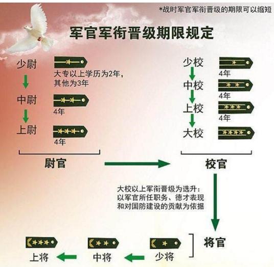 少校军衔证书图片