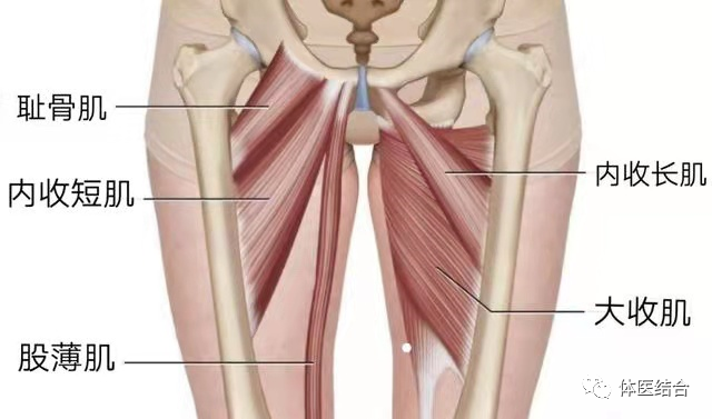 watermark,bucket_baidu-rmb-video-cover-1,image_YmpoL25ld3MvNjUzZjZkMjRlMDJiNjdjZWU1NzEzODg0MDNhYTQ0YzQucG5n,type_RlpMYW5UaW5nSGVpU01HQg==,w_17,text_QOWtmeiAgeW4iOi_kOWKqOW6t-WkjQ==,size_17,x_13,y_13,interval_2,color_FFFFFF,effect_softoutline,shc_000000,blr_2,align_1