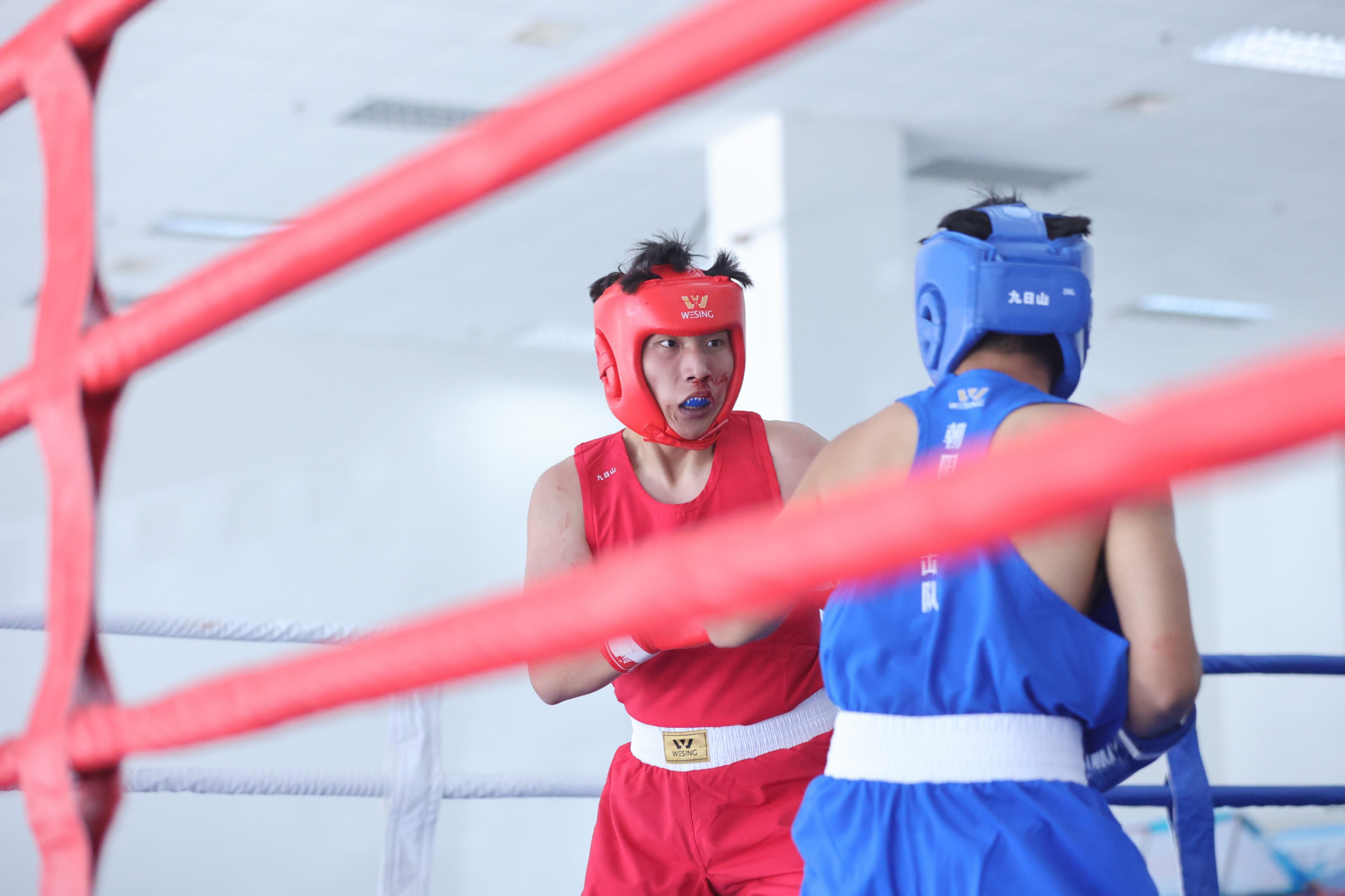 北京市第十六届运动会拳击比赛(青少年竞技组)收官