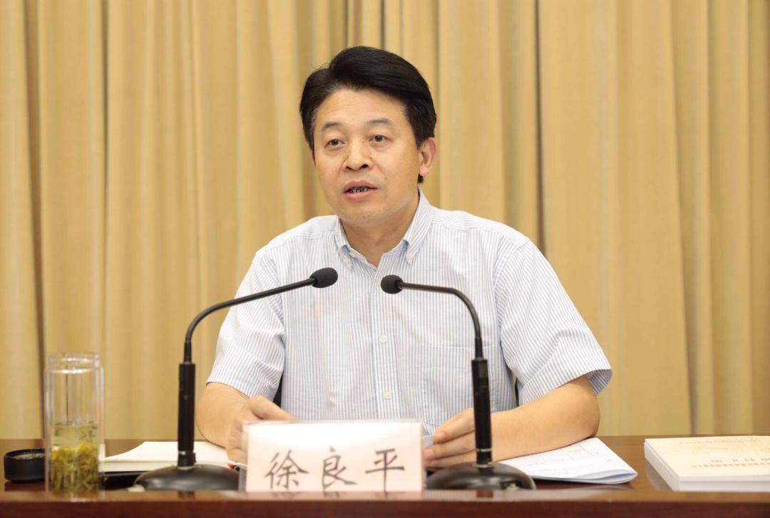 徐良平强调:紧扣"五好两确保"总目标,高质量完成村社组织换届